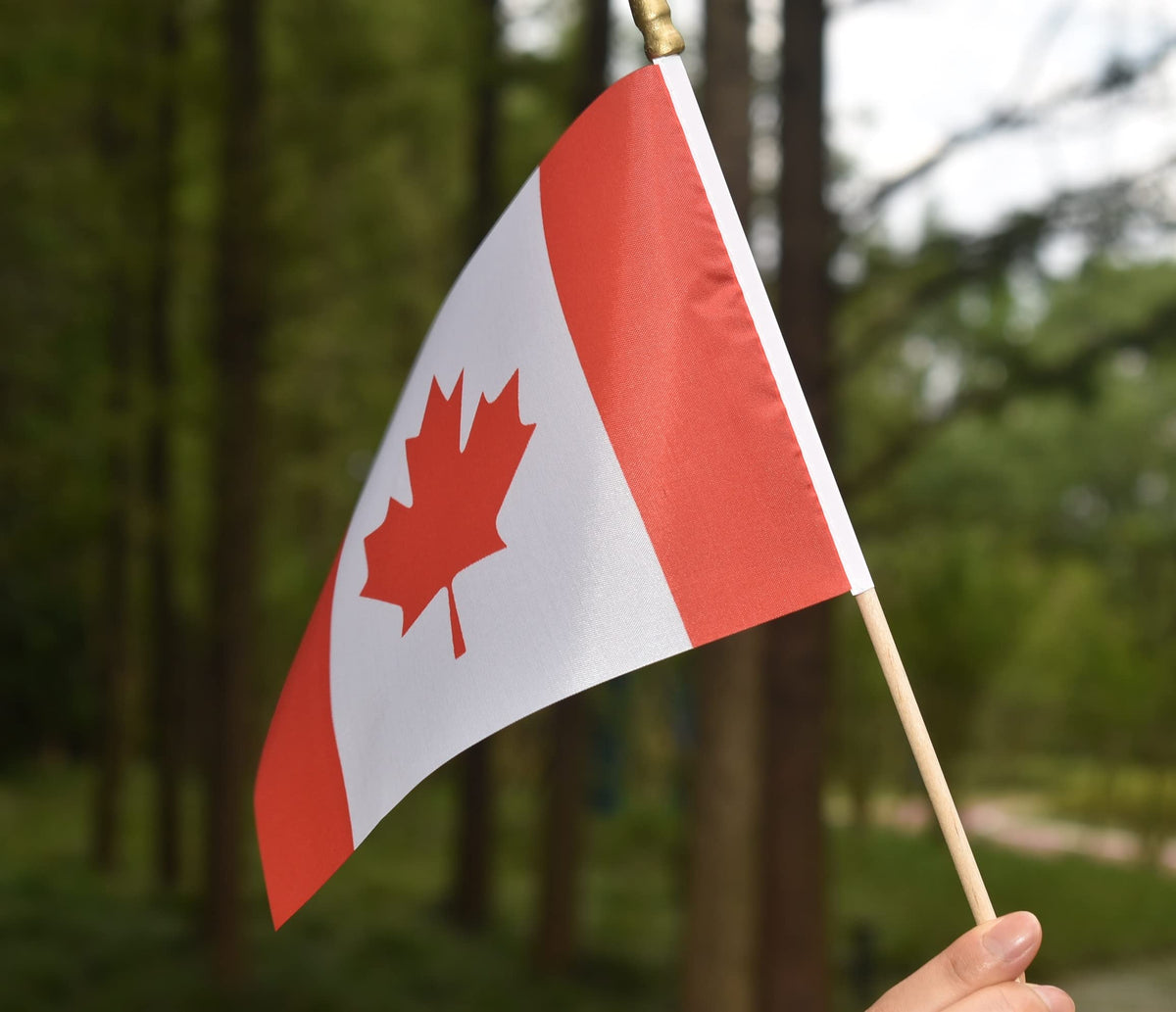 Ckexin flags for office or garden displays maintain a neat patriotic look.