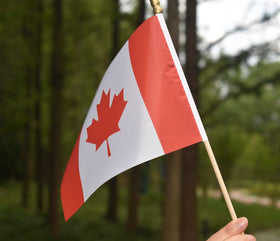 Ckexin flags for office or garden displays maintain a neat patriotic look.