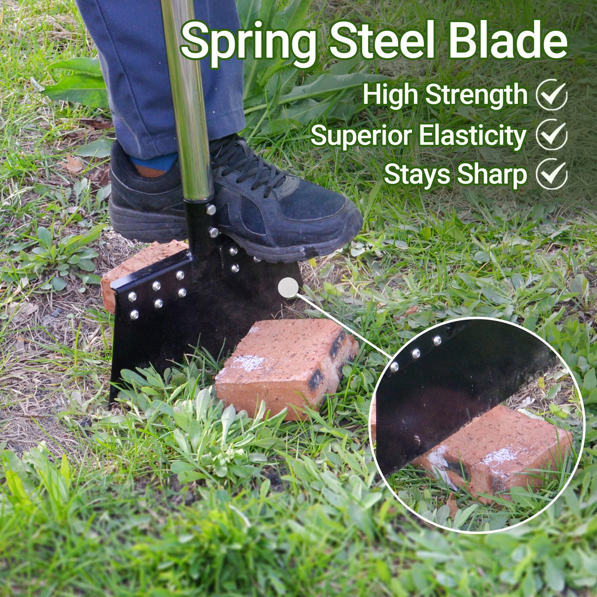 CKLT weed-scraper-11inch-wide-blade sharp blade for fast weed and debris removal
