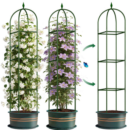 CL FUN garden obelisk trellis provides sturdy plant support for climbing varieties.