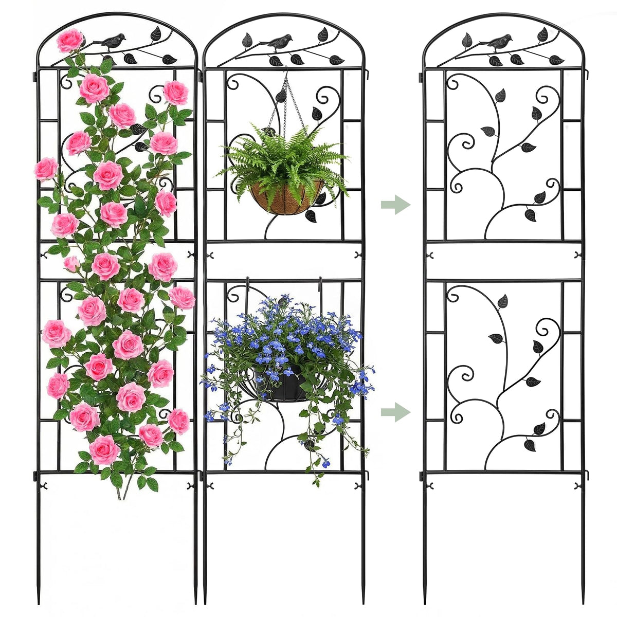CL FUN Garden Trellis 71x20 with bird-vine pattern supports roses and vines for a vertical garden.