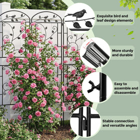 CL FUN trellis features heavy-duty steel tubes for sturdy plant support.