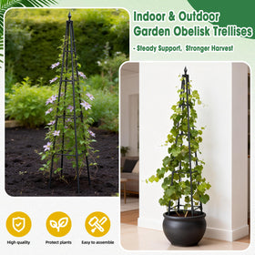 CL FUN Obelisk Trellis fits outdoor and indoor garden setups.