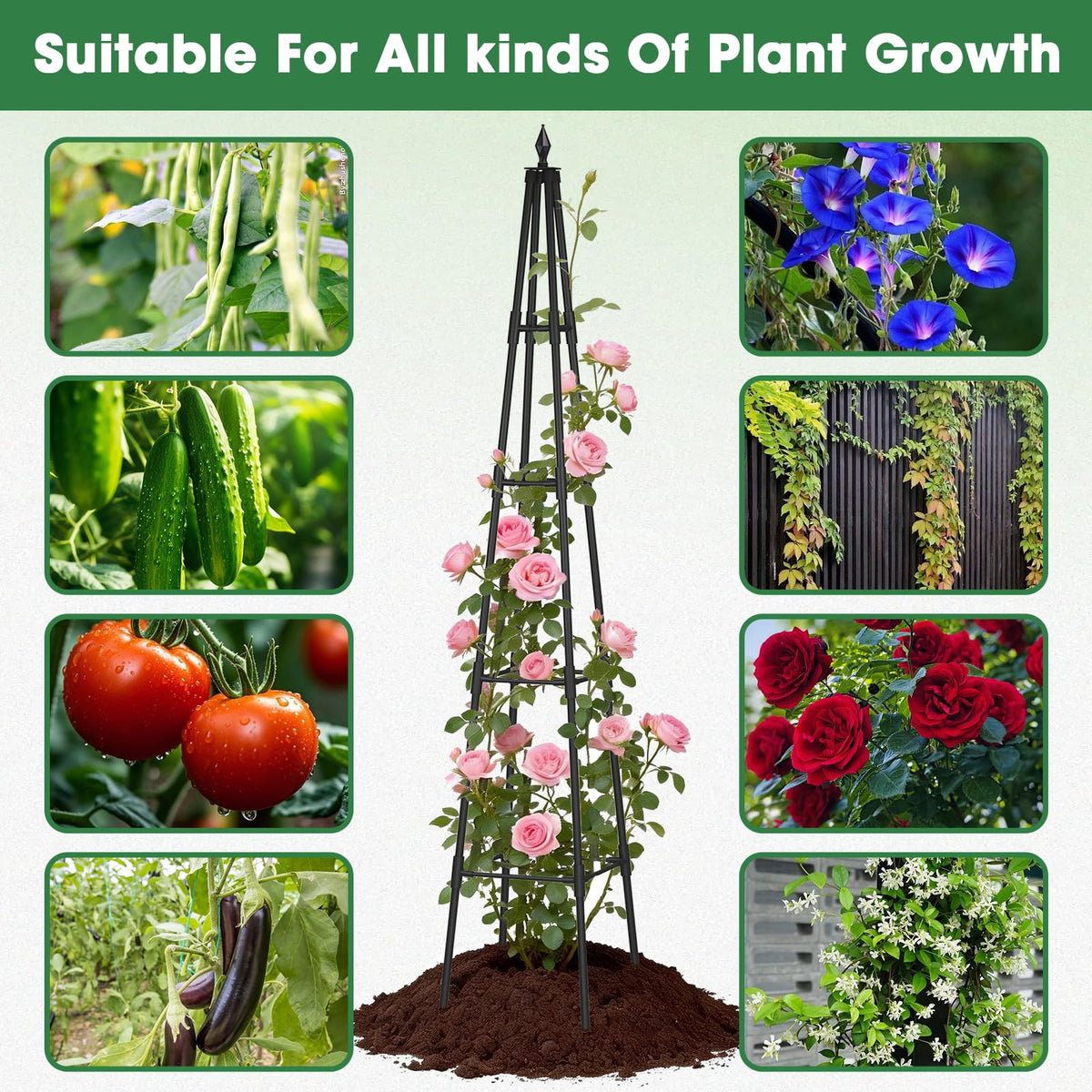 CL FUN Obelisk Trellis base design provides stable, tip-resistant support.