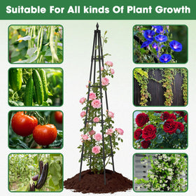 CL FUN Obelisk Trellis base design provides stable, tip-resistant support.
