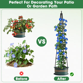 CL FUN Roses on trellis show a decorative climbing display.