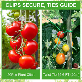 CL FUN heavy-duty square tomato cage provides robust support for tall plants and vines