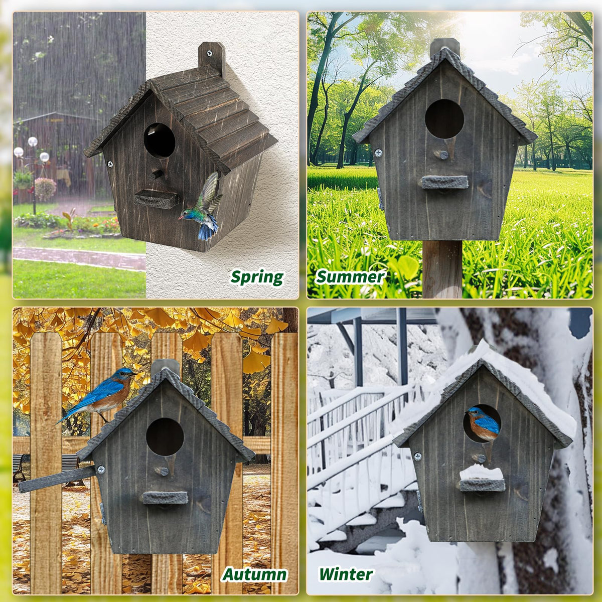 CLACKIBUKVYZ bluebird-friendly entrance supports safe nesting and easy fledgling exit.
