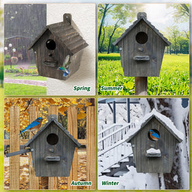 CLACKIBUKVYZ bluebird-friendly entrance supports safe nesting and easy fledgling exit.