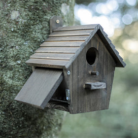 CLACKIBUKVYZ gift-ready design makes a thoughtful present for bird lovers.