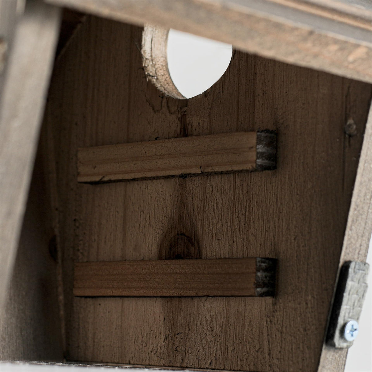 CLACKIBUKVYZ easy-clean side-door design simplifies interior maintenance for garden birds.