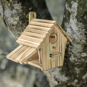 CLACKIBUKVYZ spacious nesting area supports healthy fledglings