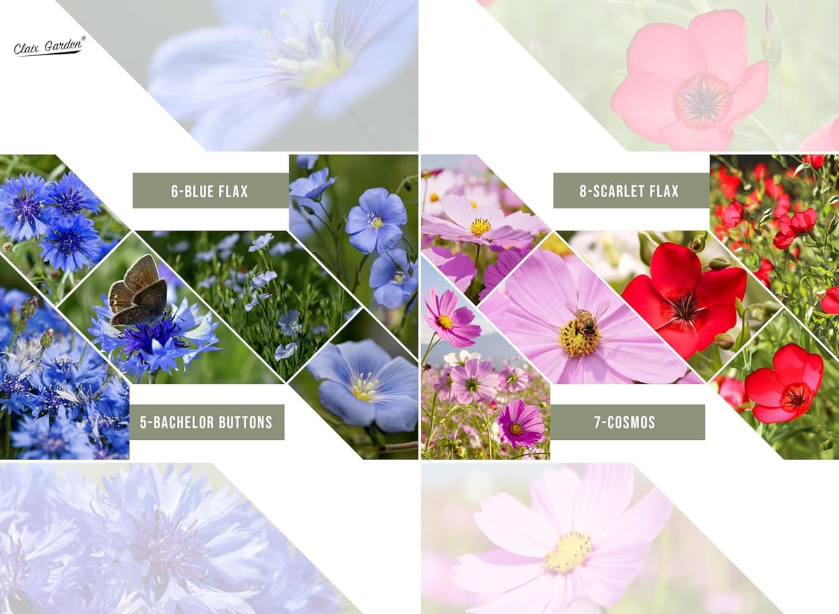 Bees and butterflies attracted by native blooms in Claix Garden mix.
