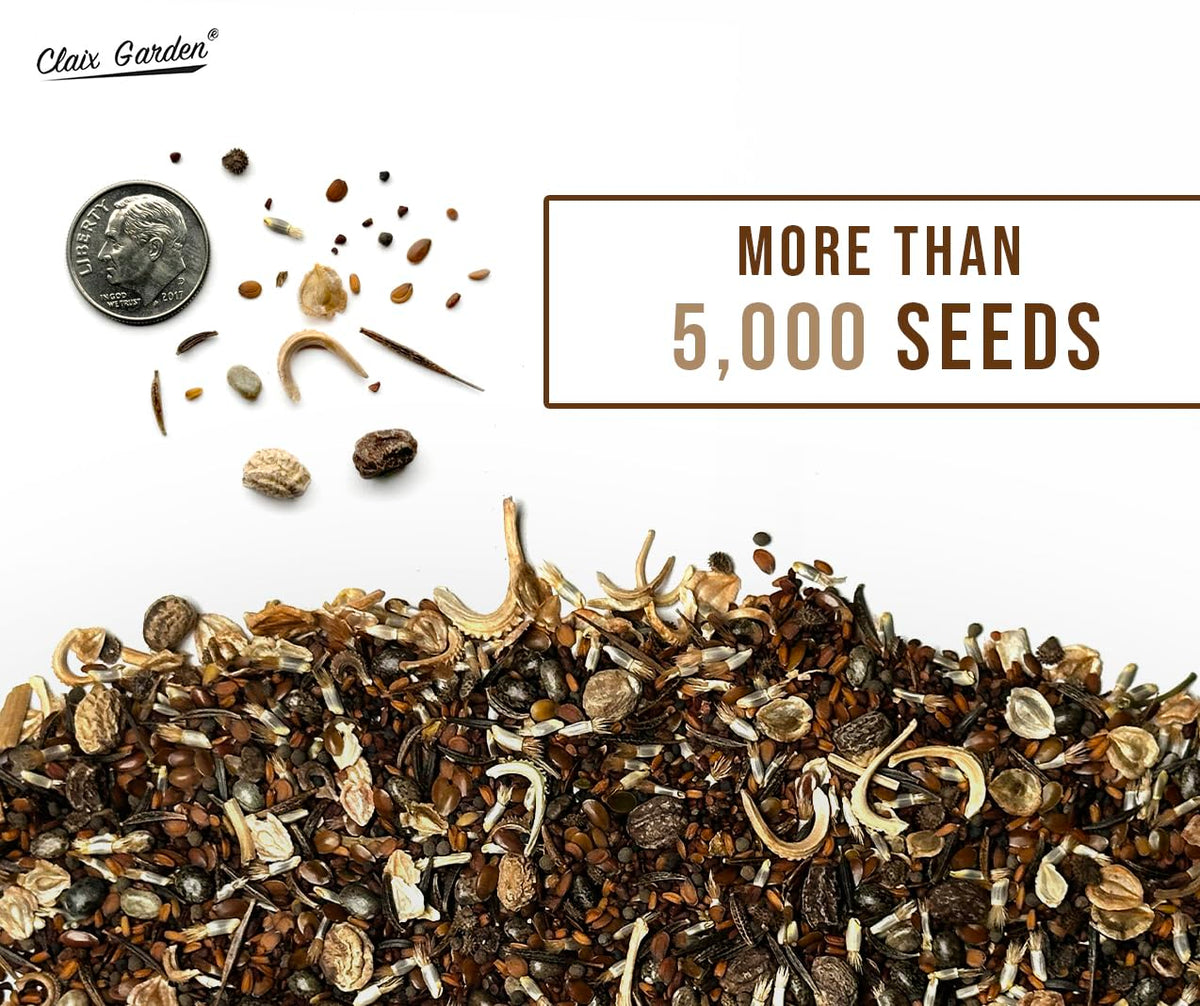 Non-GMO open-pollinated seed mix supports sustainable gardening with natural germination.