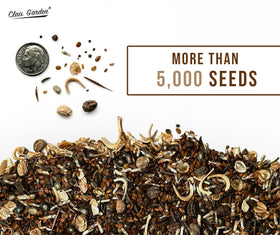 Non-GMO open-pollinated seed mix supports sustainable gardening with natural germination.