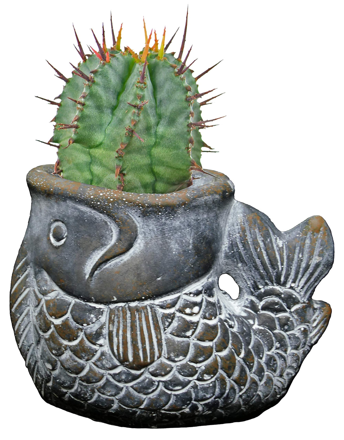 Classic Home & Garden Largemouth Bass bronze small planter suited for desk or patio.