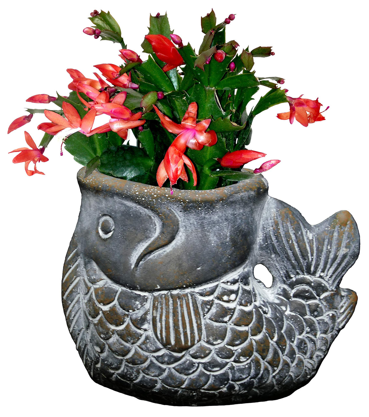Classic Home & Garden Largemouth Bass bronze small planter features removable drain plug for drainage.