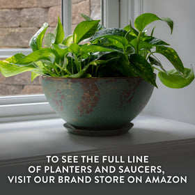 Rosie modern planter bowl suits contemporary decor with plant-friendly design