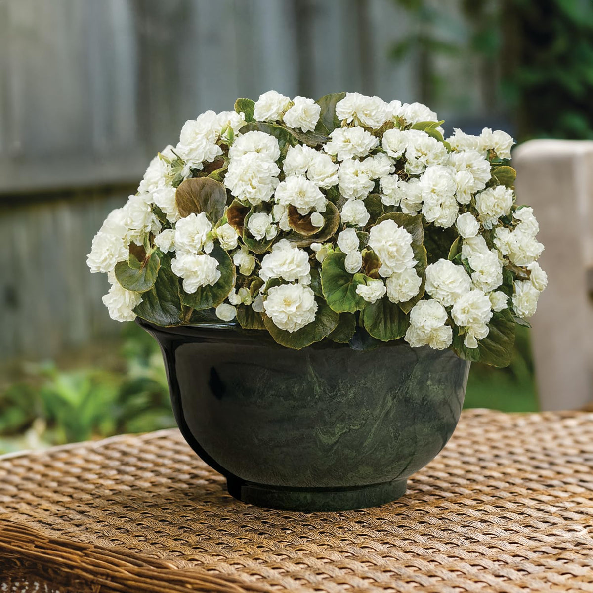 Classic Home & Garden Venetian deep bowl planter outdoors with green granite finish