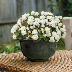Classic Home & Garden Venetian deep bowl planter outdoors with green granite finish