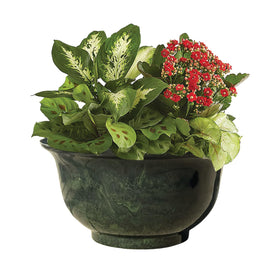 Classic Home & Garden Venetian deep bowl planter depth for diverse plant arrangements