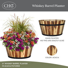 Classic Home & Garden acacia wood barrel planter reveals natural grain and aging tone.