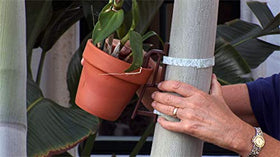 Clever Gardener brown high-impact polystyrene clips provide durable support