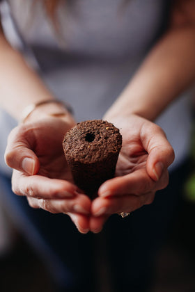 Click and Grow easy setup steps for starting your greens.