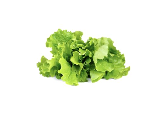 Click and Grow Green Lettuce pods close-up showing nutrient-rich, pre-sealed pods.