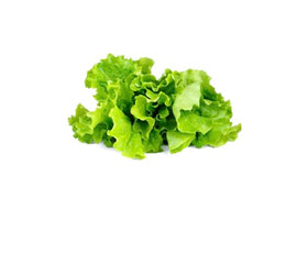 Click and Grow Green Lettuce pods close-up showing nutrient-rich, pre-sealed pods.