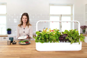 Click and Grow growth guarantee seal on pepper pods for reliable germination.