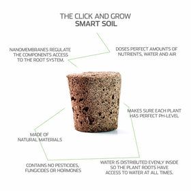 Click and Grow hand-pollination step for successful fruiting of peppers.