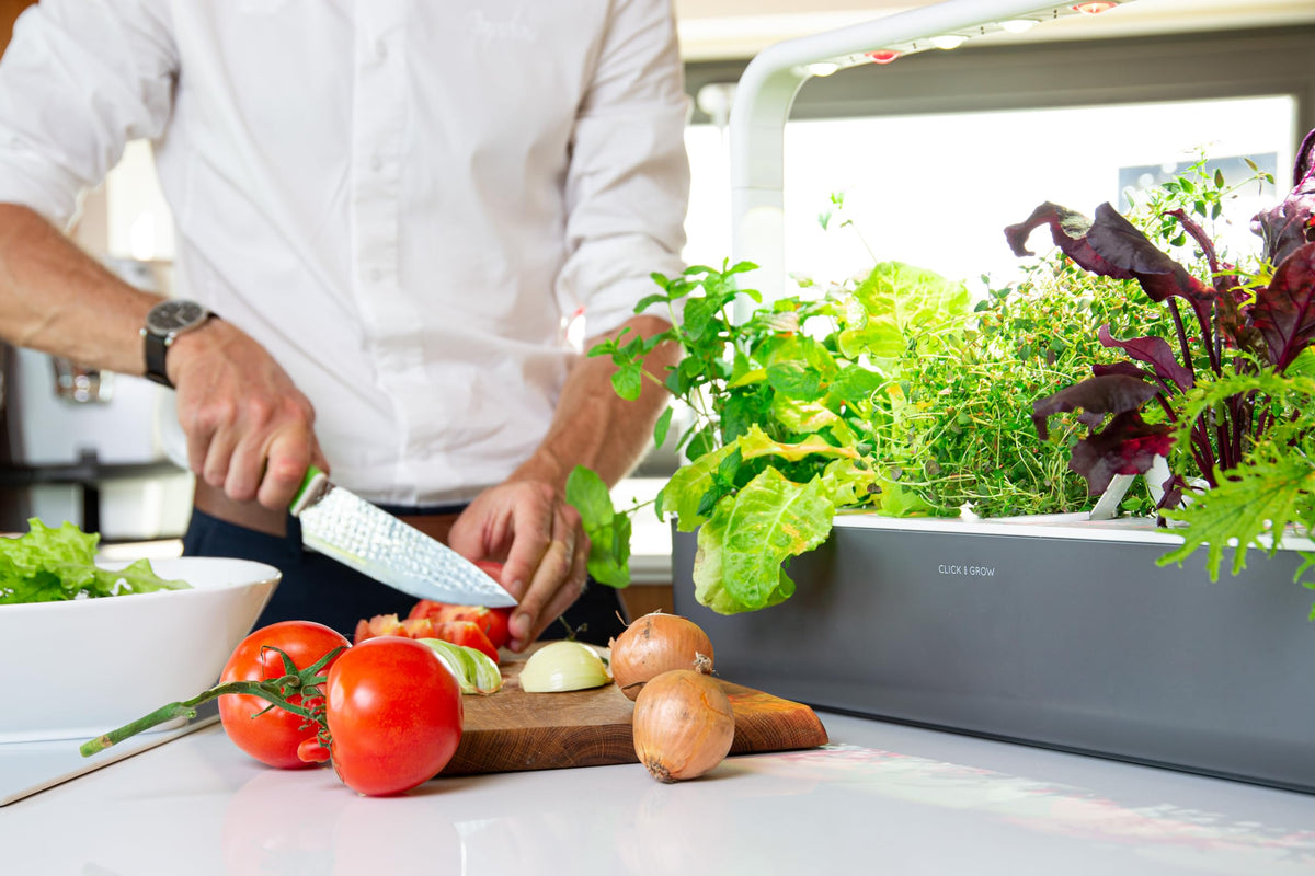 Click & Grow kitchen windowsill setup for convenient herb access