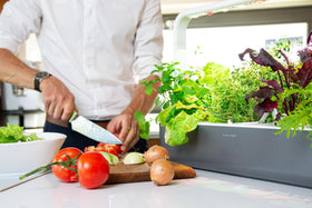 Click & Grow kitchen windowsill setup for convenient herb access