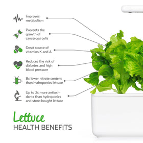 Click and Grow lettuce harvest-ready leaves on a compact home garden.