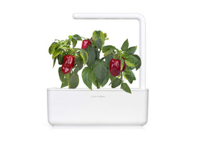Click and Grow pod insertion step shows easy setup for beginners