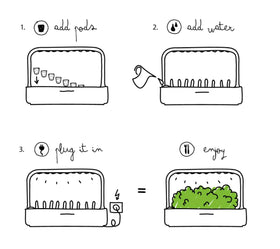 Click & Grow pod insertion demo helping beginners start quickly