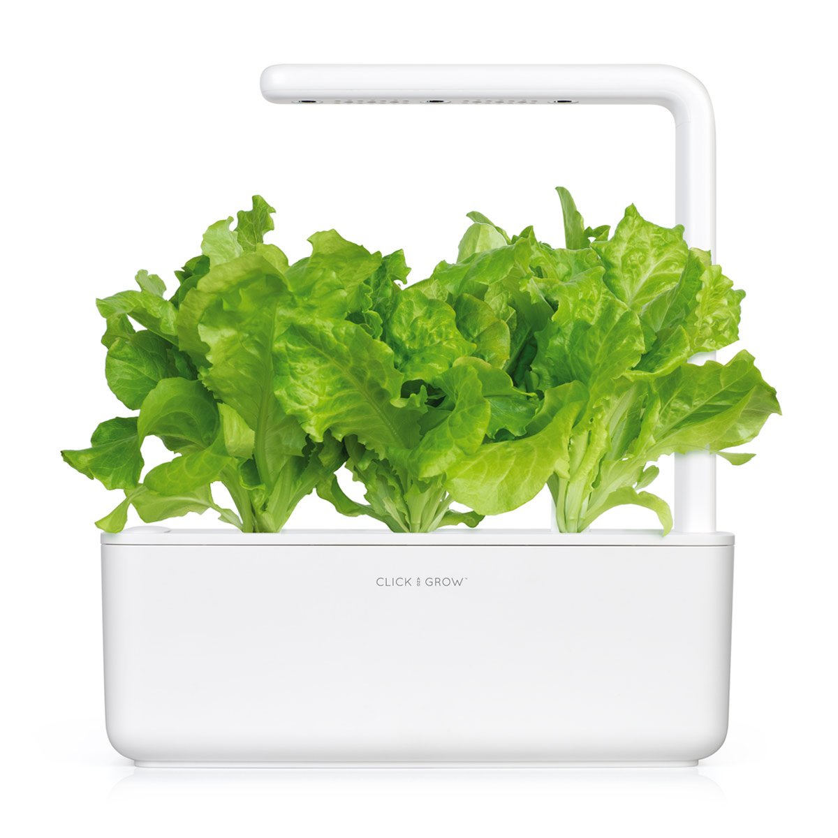 Click and Grow Green Lettuce pods displayed with smart garden system, illustrating automation.