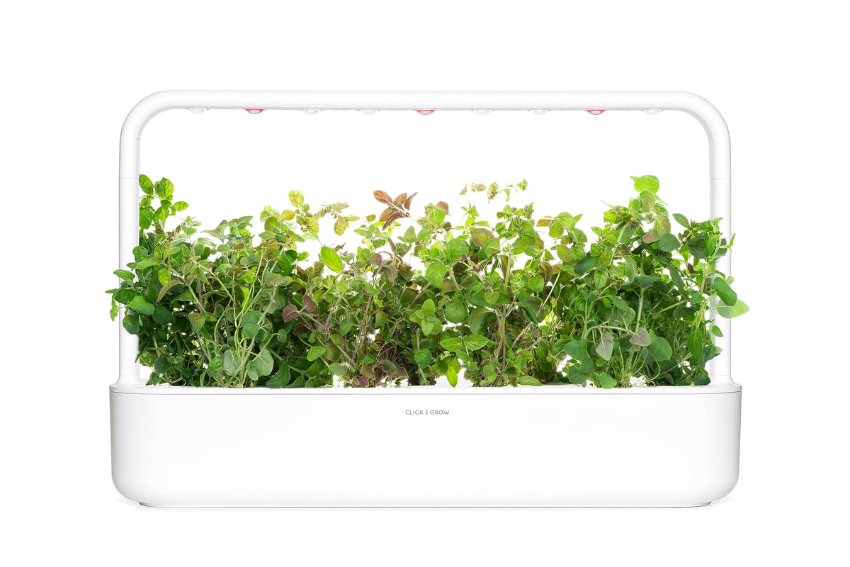 Click and Grow smart garden setup oregano: plug-and-play system complements your kitchen.