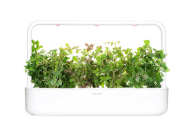 Click and Grow smart garden setup oregano: plug-and-play system complements your kitchen.