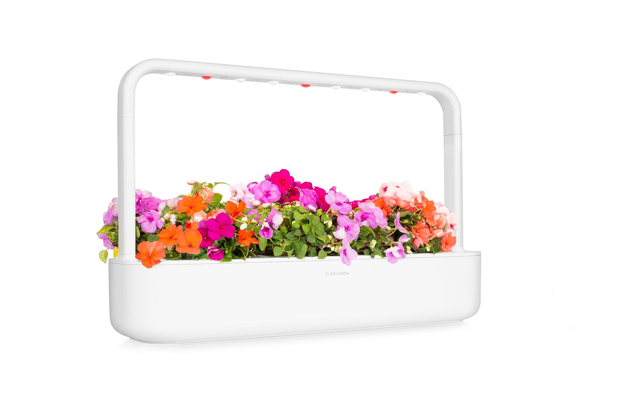 Click and Grow Smart Garden water tank setup showing easy maintenance.