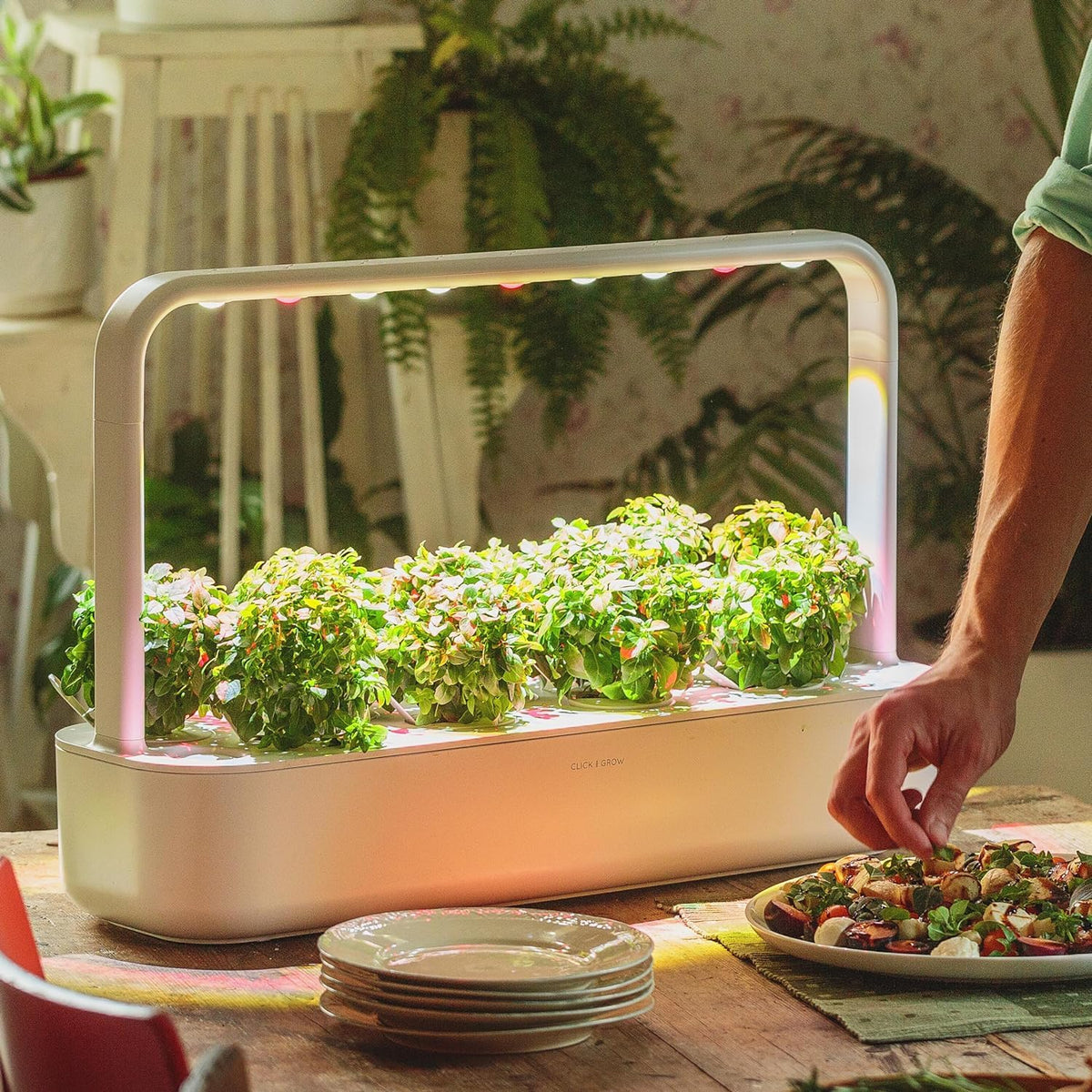 Click & Grow starter kit with nine pods guides immediate planting success