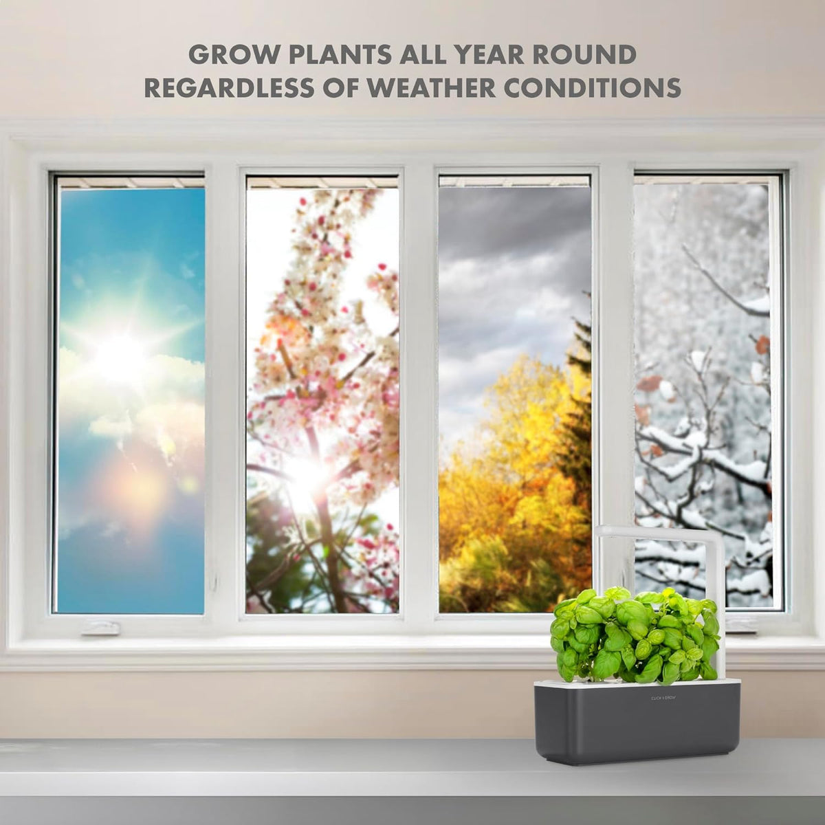 Click and Grow thyme pods provide aromatic leaves for roasting.