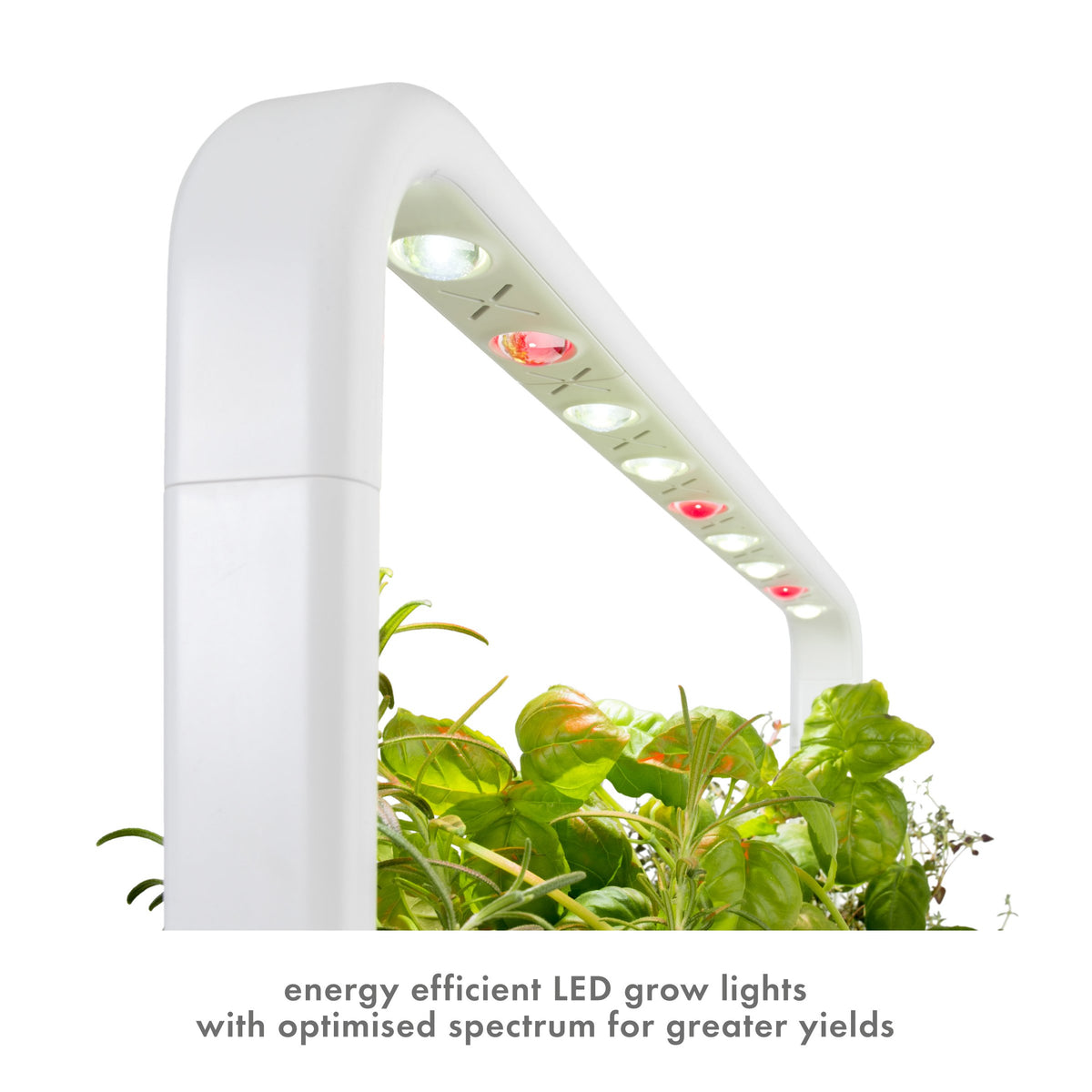 Click & Grow water reservoir closeup for reliable moisture