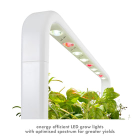 Click & Grow water reservoir closeup for reliable moisture