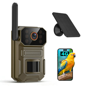 ClipBlur 4G trail camera with solar panel provides nonstop wildlife footage.