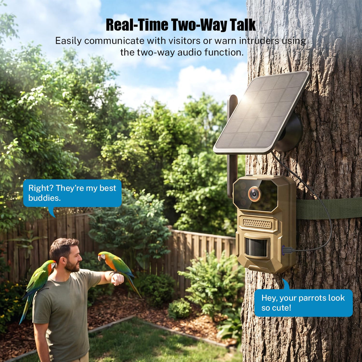 ClipBlur bird feeder monitor captures daytime bird activity in crisp detail.