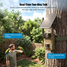 ClipBlur bird feeder monitor captures daytime bird activity in crisp detail.