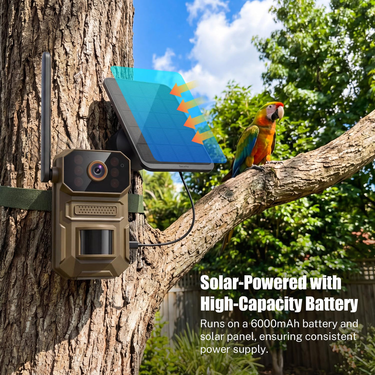 ClipBlur built-in SIM supports reliable cellular connectivity.