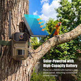ClipBlur built-in SIM supports reliable cellular connectivity.
